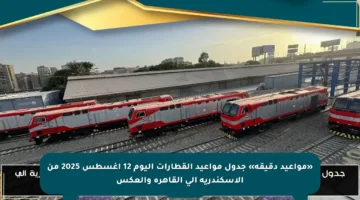 «مواعيد دقيقة» جدول مواعيد القطارات اليوم 12 اغسطس 2025 من الإسكندرية إلى القاهرة والعكس